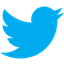 Twitter Website Icon